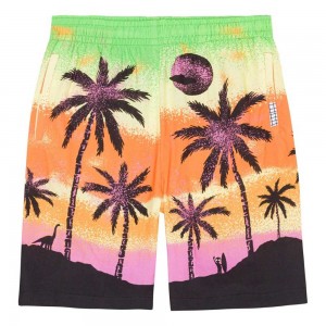 Alien Island Boys' Molo Adi Shorts | KSA000688