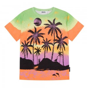 Alien Island Boys' Molo Riley T Shirts Tops | KSA000773