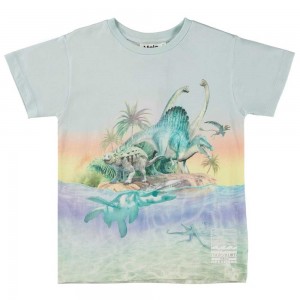 Ancient Island Boys' Molo Raul T Shirts Tops | KSA000630