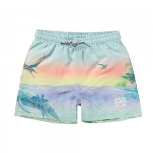 Ancient Island Molo Niko Swimshorts | KSA001134