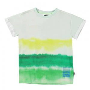 Aqua Green Boys' Molo Randon T Shirts Tops | KSA000636