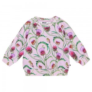 Artichoke Mini Baby Girl Molo Disc Sweatshirts Cardigans | KSA001398