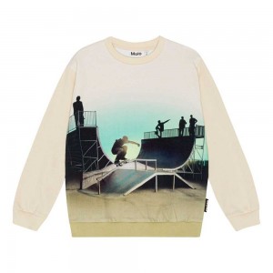 Backlit Halfpipe Boys' Molo Miksi Sweatshirts Cardigans | KSA000752