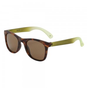 Baobab Molo Smile Sunglasses | KSA000992