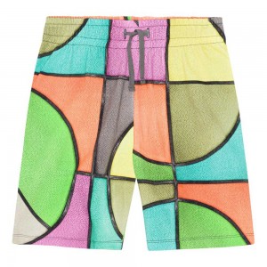 Basket Colour Boys' Molo Alim Shorts | KSA000694