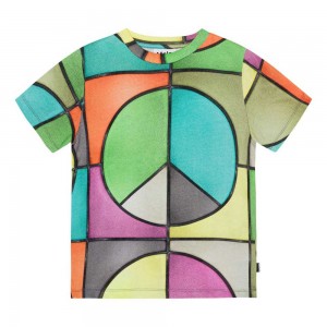 Basket Colour Boys' Molo Ralphie T Shirts Tops | KSA000779