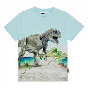 Beach Dino Boys' Molo Roxo T Shirts Tops | KSA000809