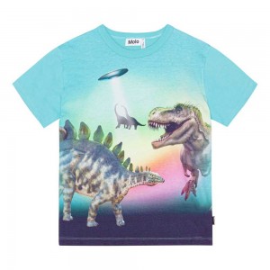 Beaming Dinos Boys' Molo Riley T Shirts Tops | KSA000829