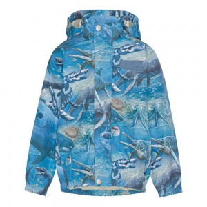 Big Ancient Sea Molo Waiton Rainwear | KSA000086