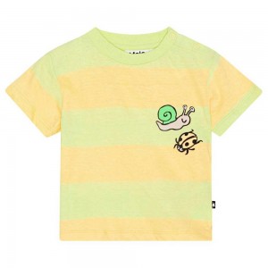 Bleach Sun Baby Girl Molo Enzo T Shirts Tops | KSA001431