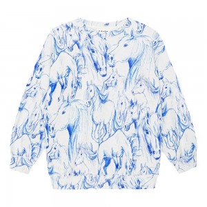 Blue Horses Girls' Molo Monti Sweatshirts Cardigans | KSA000480