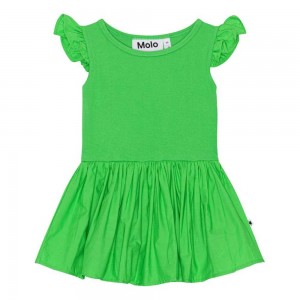 Classic Green Baby Girl Molo Cimi Dresses | KSA001302