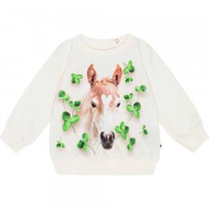 Clover Foal Baby Girl Molo Disc Sweatshirts Cardigans | KSA001406