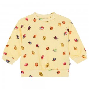 Coccinella Baby Boy Molo Disc Sweatshirts Cardigans | KSA001395