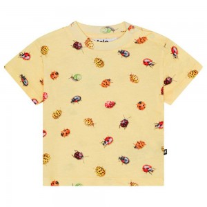 Coccinella Baby Girl Molo Enzo T Shirts Tops | KSA001430