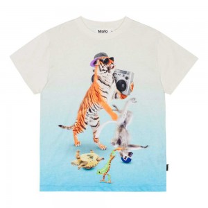 Dance Animals Boys' Molo Roxo T Shirts Tops | KSA000854