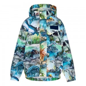 Dino Fantastic Molo Waiton Rainwear | KSA000064