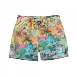 Dino Paradis Molo Niko Swimshorts | KSA001132