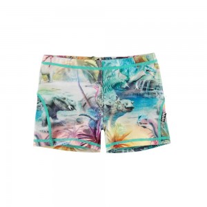 Dino Paradis Molo Norton Swimshorts | KSA001133