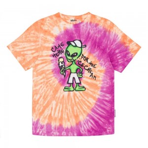 Ember Purple Dye Boys' Molo Riley T Shirts Tops | KSA000783