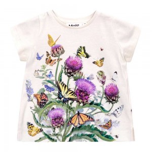 Garden Top Baby Girl Molo Elly T Shirts Tops | KSA001427