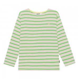 Grass Stripe Boys' Molo Rilder T Shirts Tops | KSA000833