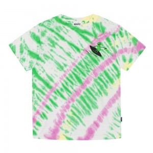 Green Helio Dye Boys' Molo Rodney T Shirts Tops | KSA000816