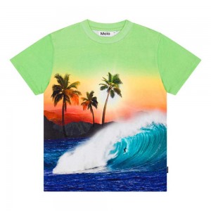 Green Sunset Boys' Molo Roxo T Shirts Tops | KSA000771