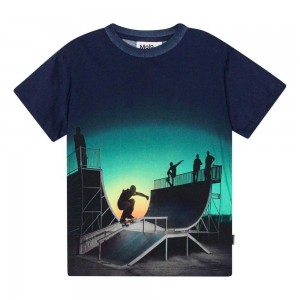 Halfpipe Universe Boys' Molo Rame T Shirts Tops | KSA000821