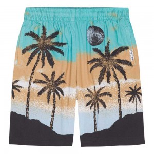 Holiday Island Boys' Molo Adi Shorts | KSA000690