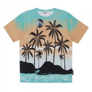 Holiday Island Boys' Molo Riley T Shirts Tops | KSA000778