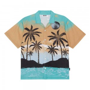 Holiday Island Boys' Molo Rui Shirts | KSA000681