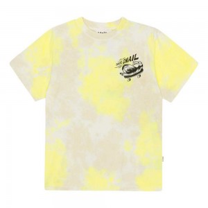 Lemon Sand Dye Boys' Molo Rodney T Shirts Tops | KSA000825