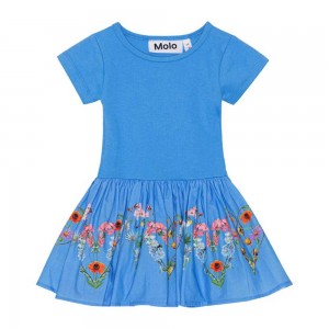 Little Garden Baby Girl Molo Carin Dresses | KSA001308