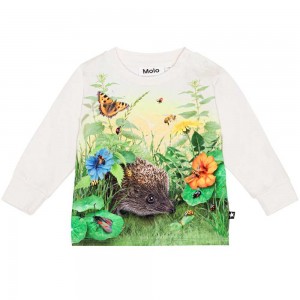 Living Garden Baby Boy Molo Eloy T Shirts Tops | KSA001417