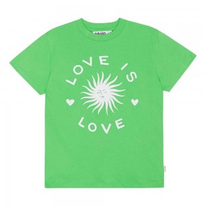 Love Is Love Girls' Molo Roxo T Shirts Tops | KSA000515