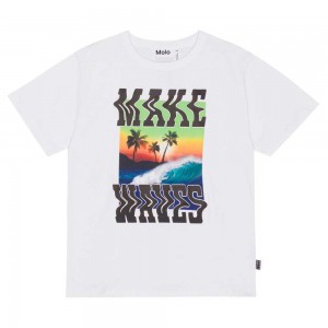 Make Waves Boys' Molo Riley T Shirts Tops | KSA000772