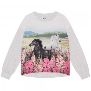 Meadow Horses Girls' Molo Reniza T Shirts Tops | KSA000573