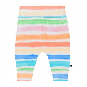 Multi Colours Baby Boy Molo Sammy Pants Jeans | KSA001332