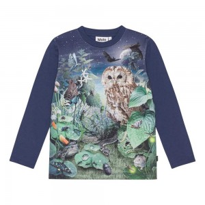 Night Garden Boys' Molo Reif T Shirts Tops | KSA000828