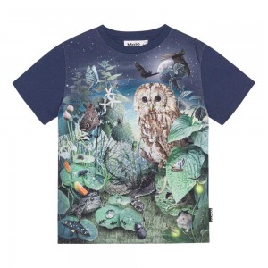 Night Garden Boys' Molo Roxo T Shirts Tops | KSA000826