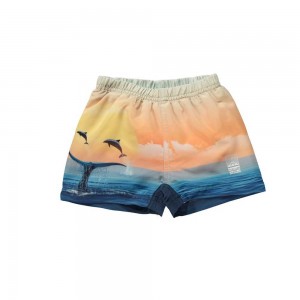 Ocean Smile Molo Newton Swimshorts | KSA001149