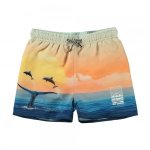 Ocean Smile Molo Niko Swimshorts | KSA001143