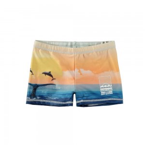 Ocean Smile Molo Norton Placed Swimshorts | KSA001144