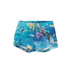 Ocean Zones Molo Nansen Swimshorts | KSA001138