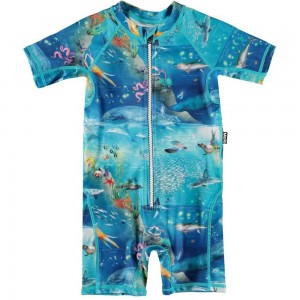 Ocean Zones Molo Neka Rash guard suits | KSA001063