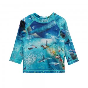 Ocean Zones Molo Nemo Rash guards | KSA001087