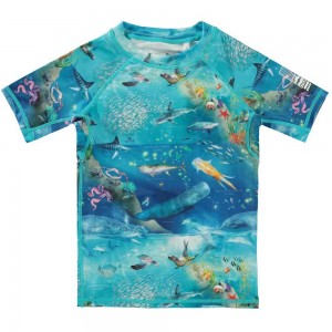 Ocean Zones Molo Neptune Rash guards | KSA001086