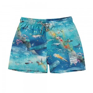 Ocean Zones Molo Niko Swimshorts | KSA001137