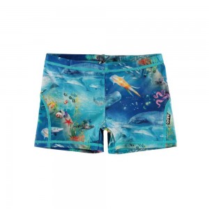 Ocean Zones Molo Norton Swimshorts | KSA001136